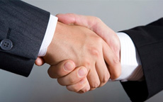 Shake hands